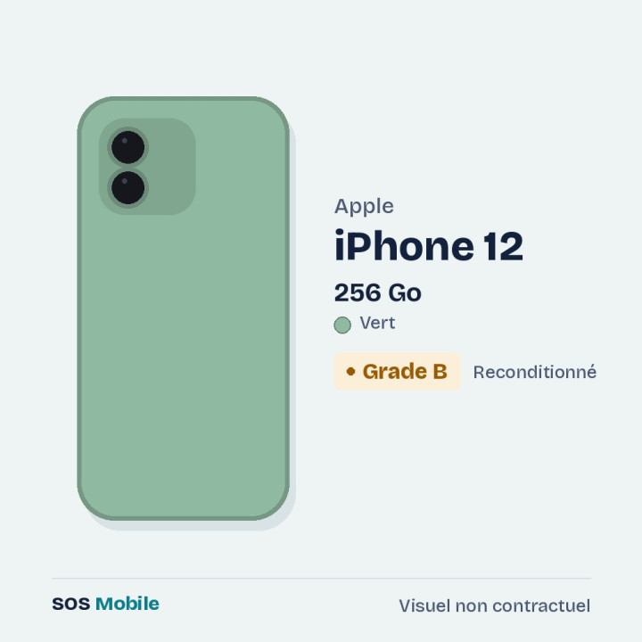 Apple iPhone 12 256 Go Vert - Grade B